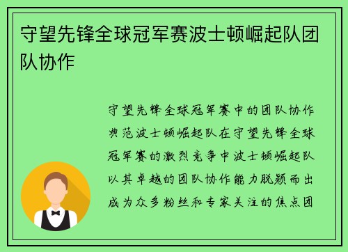 守望先锋全球冠军赛波士顿崛起队团队协作