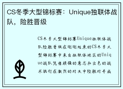 CS冬季大型锦标赛：Unique独联体战队，险胜晋级